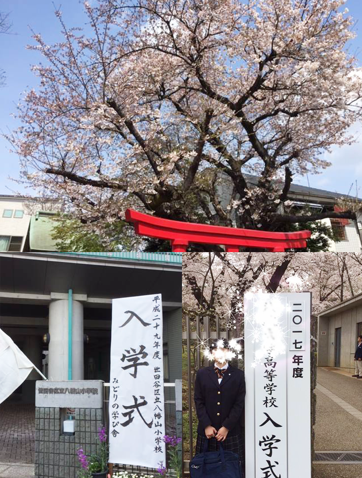 世田谷区立小学校・中学校入学式