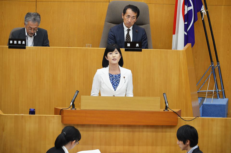 平成29年第3回定例議会