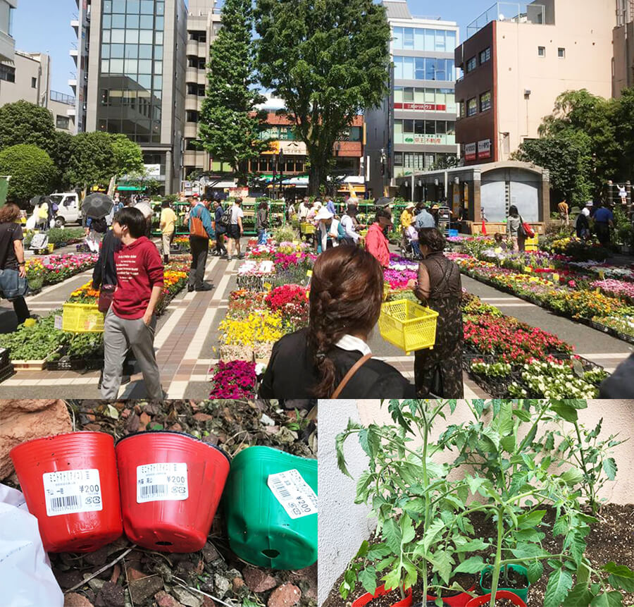 千歳地区チャリティー園芸市